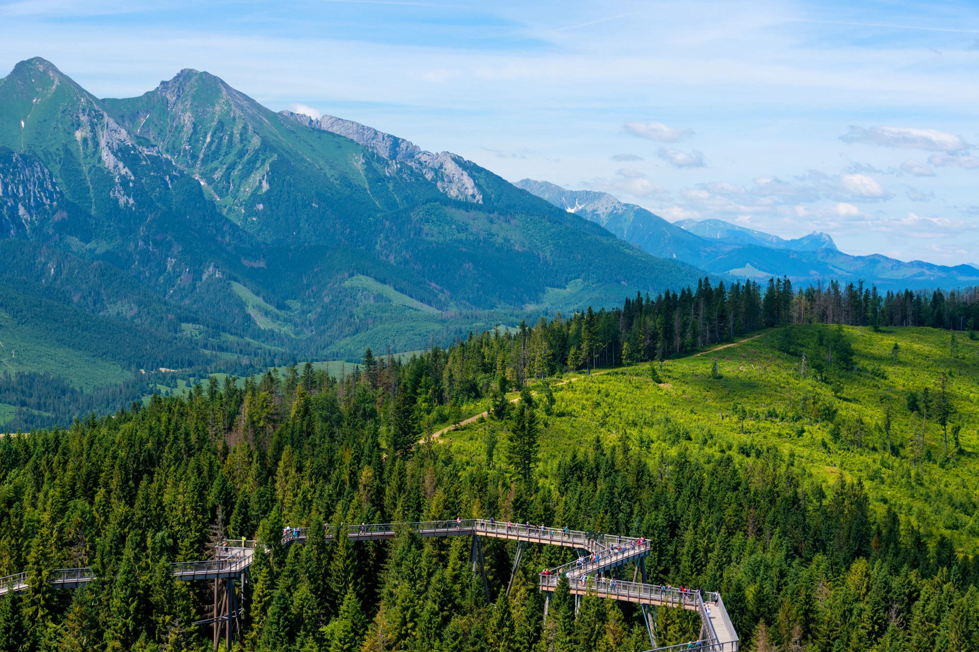 Zdiar : Treetop Walk Bachledka Private Tour from Krakow