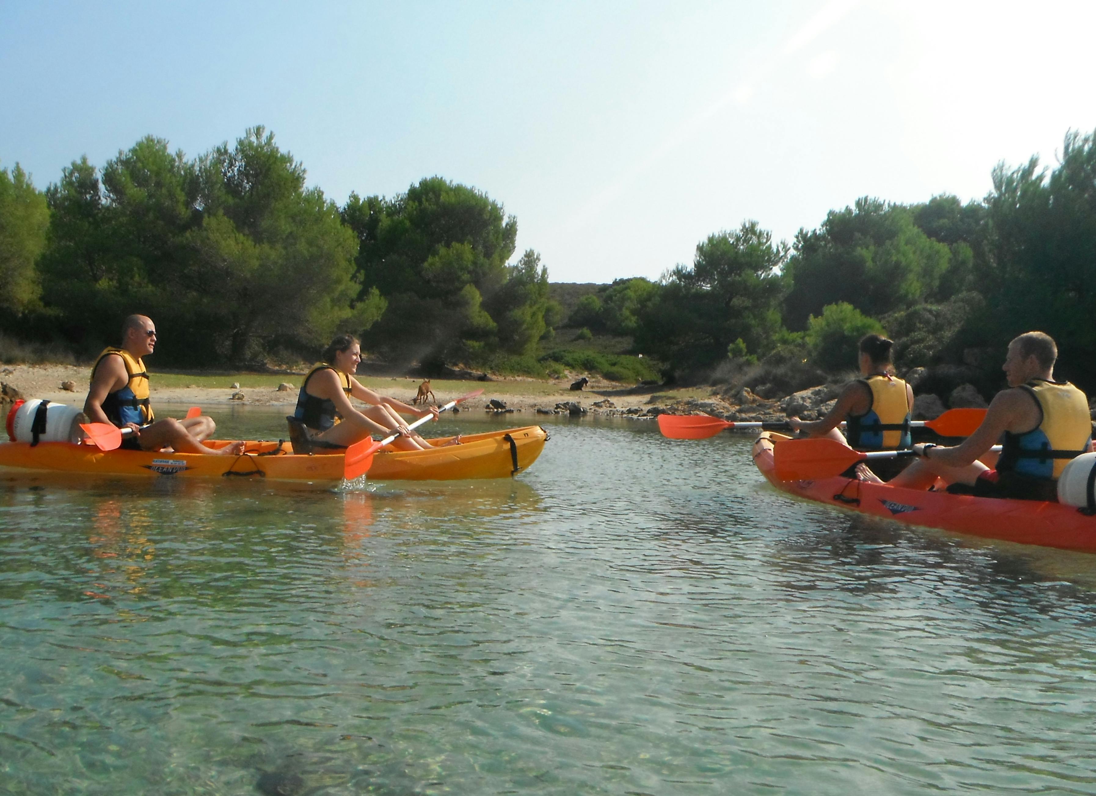Dues persones en caiacs de color taronja remen en aigües clares i tranquil·les prop d'una costa amb arbres al fons.