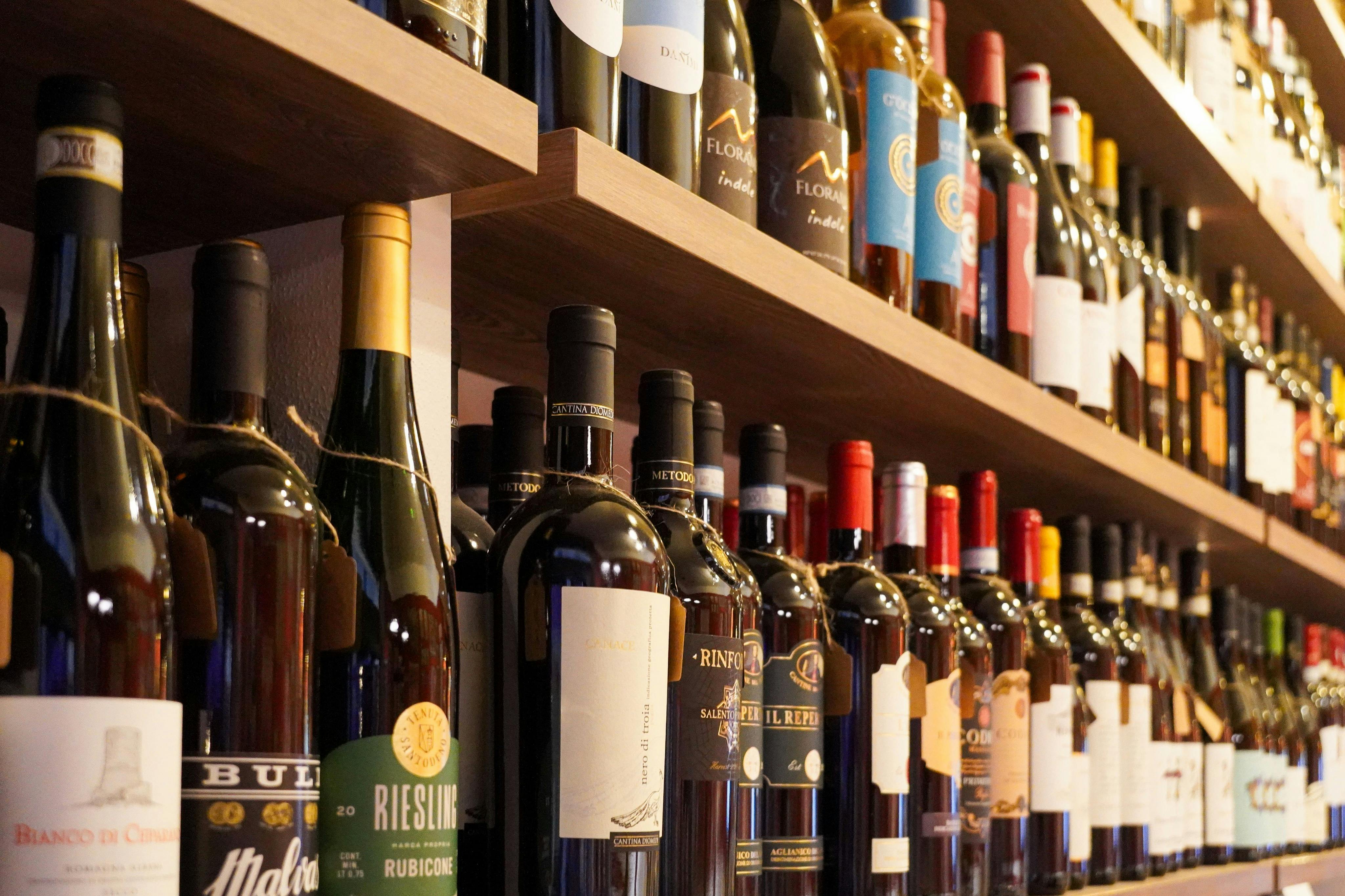 Bologna: degustazione guidata di vini rossi italiani — 6