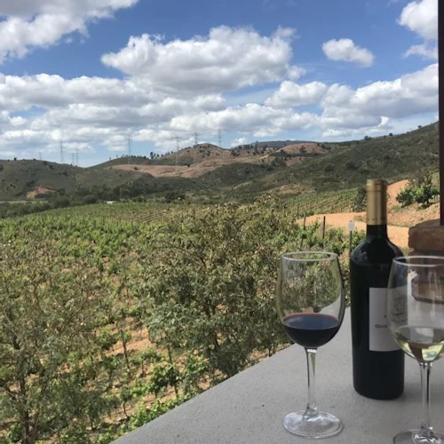 Algarve: Small-Group Guided Wine Tour + Silves Exploration