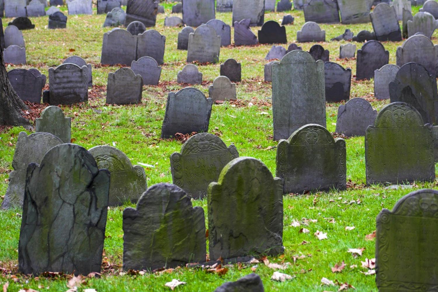 老朽化した苔に覆われた墓石が草むらに点在する墓地。