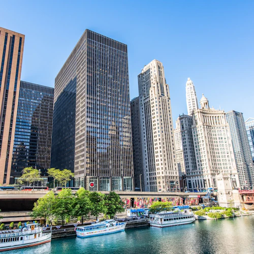 Chicago Architecture: A Walk Through Time - Photo 9