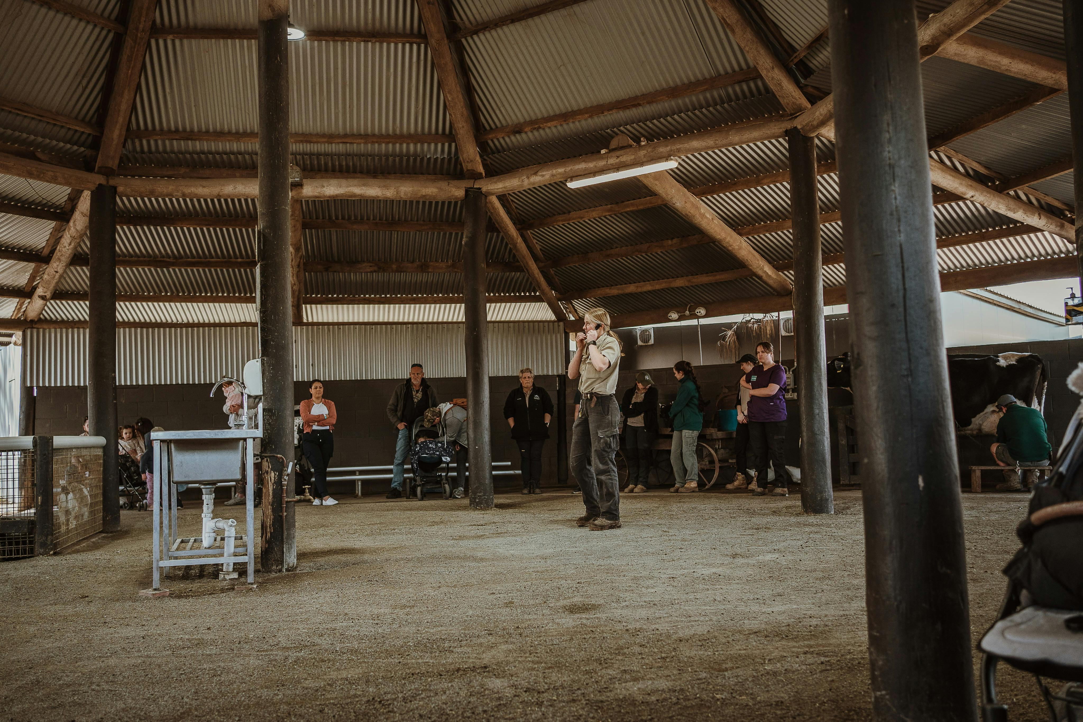Guests awaiting the scheduled feeding show included in admission price