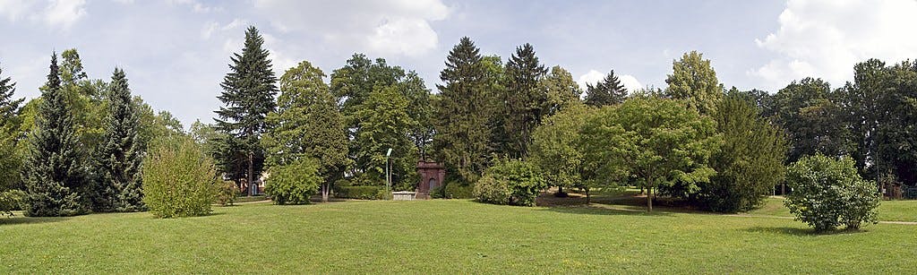 Park z różnymi drzewami, trawnik i odległy mały budynek pod częściowo zachmurzonym niebem.