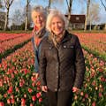 Un campo de tulipanes