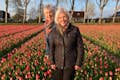 Un campo de tulipanes