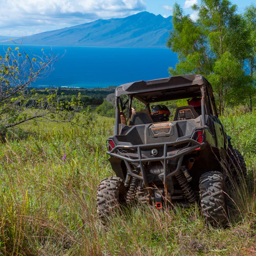 Lahaina: Aventura de quadriciclo - Photo 2