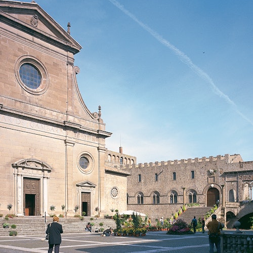 Saltar la línea del Palacio de los Papas (Polo Monumental Colle del Duomo)