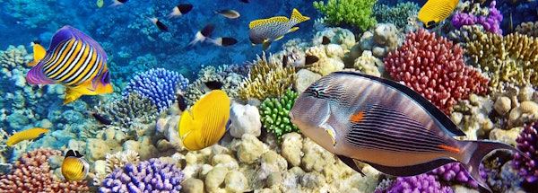 Sea Life + Parco Natura Viva — 6