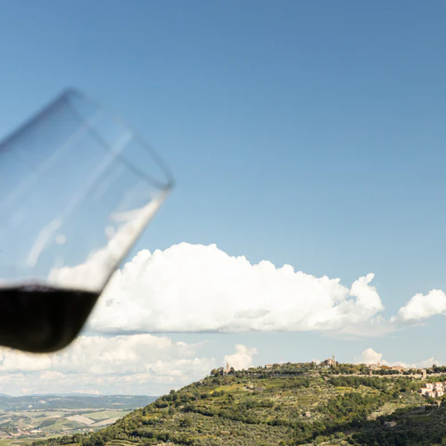 Corte Pavone Winery Estate: Guided Winery Tour with Montalcino Wine Tasting
