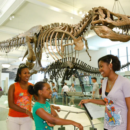Go City The New York Pass®: Choose 3, 4, or 5 Day Pass with 100+ Attractions - Photo 10