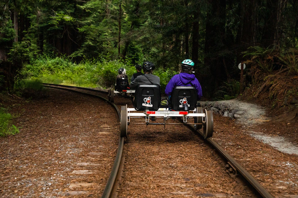 People riding pedal-powered rail cars on a forested train track. Dense green foliage lines the track.