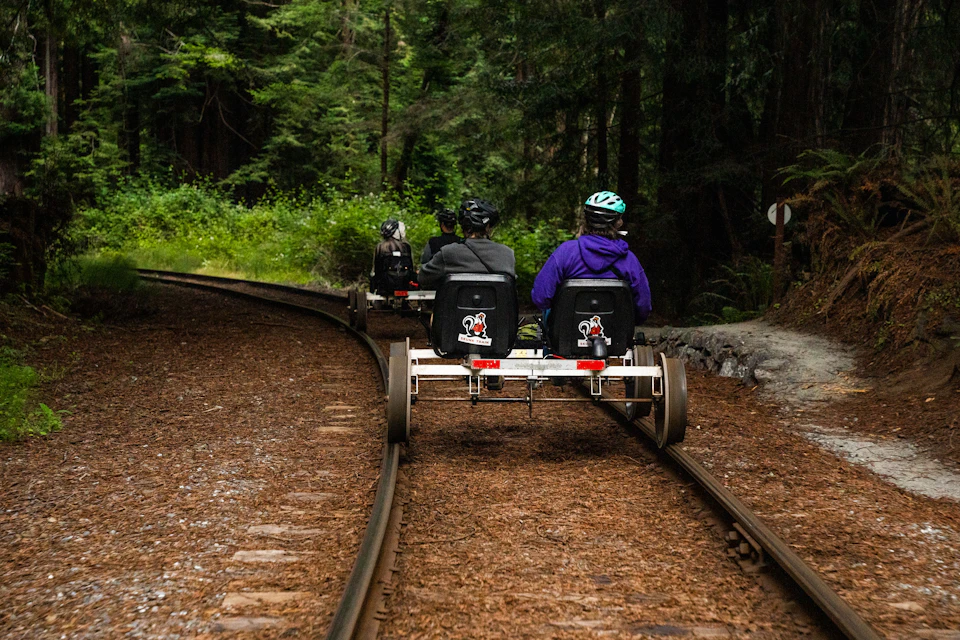 People riding pedal-powered rail cars on a forested train track. Dense green foliage lines the track.