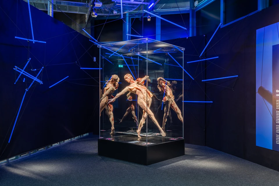 FR:EIA, the world's first fascia preparation