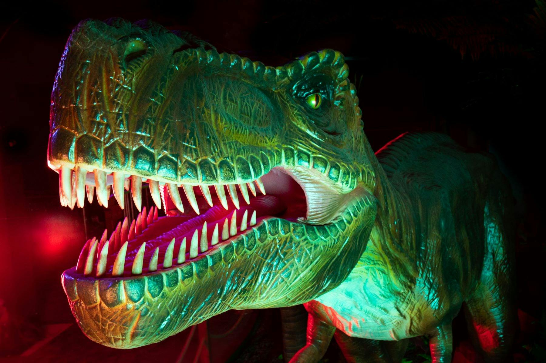 T-Rex close-up