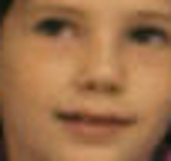 Oslo Akerselva kajaktocht