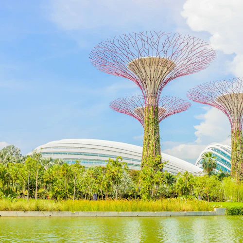 Eine malerische Ansicht futuristischer baumartiger Strukturen in einem Park mit Grünflächen, Wasser im Vordergrund und einem modernen Gebäude dahinter.