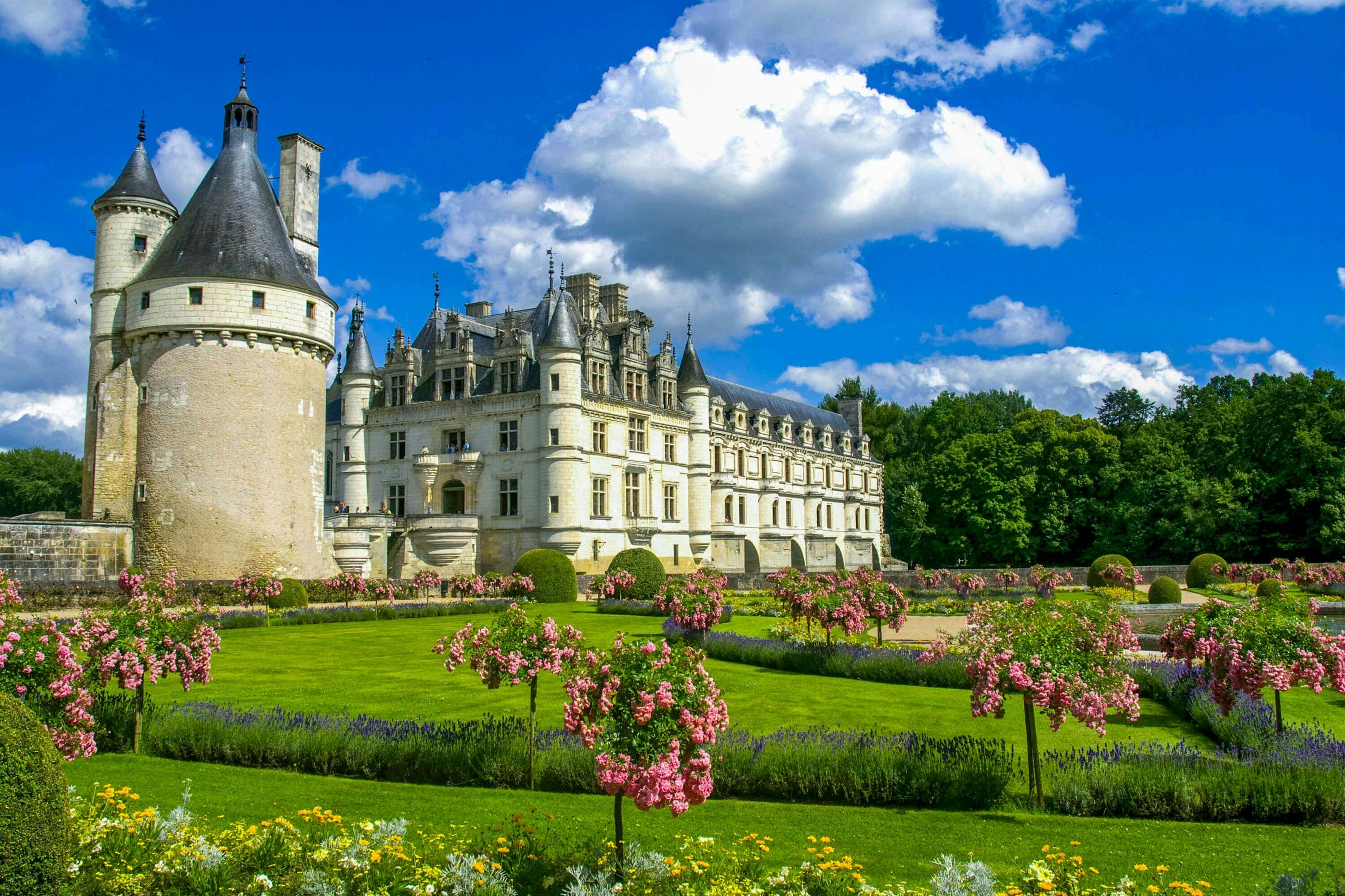 분홍색 꽃이 만발한 잘 손질된 정원과 구름이 가득한 푸른 하늘 아래 푸른 잔디밭으로 둘러싸인 타워가 있는 크고 화려한 성입니다.