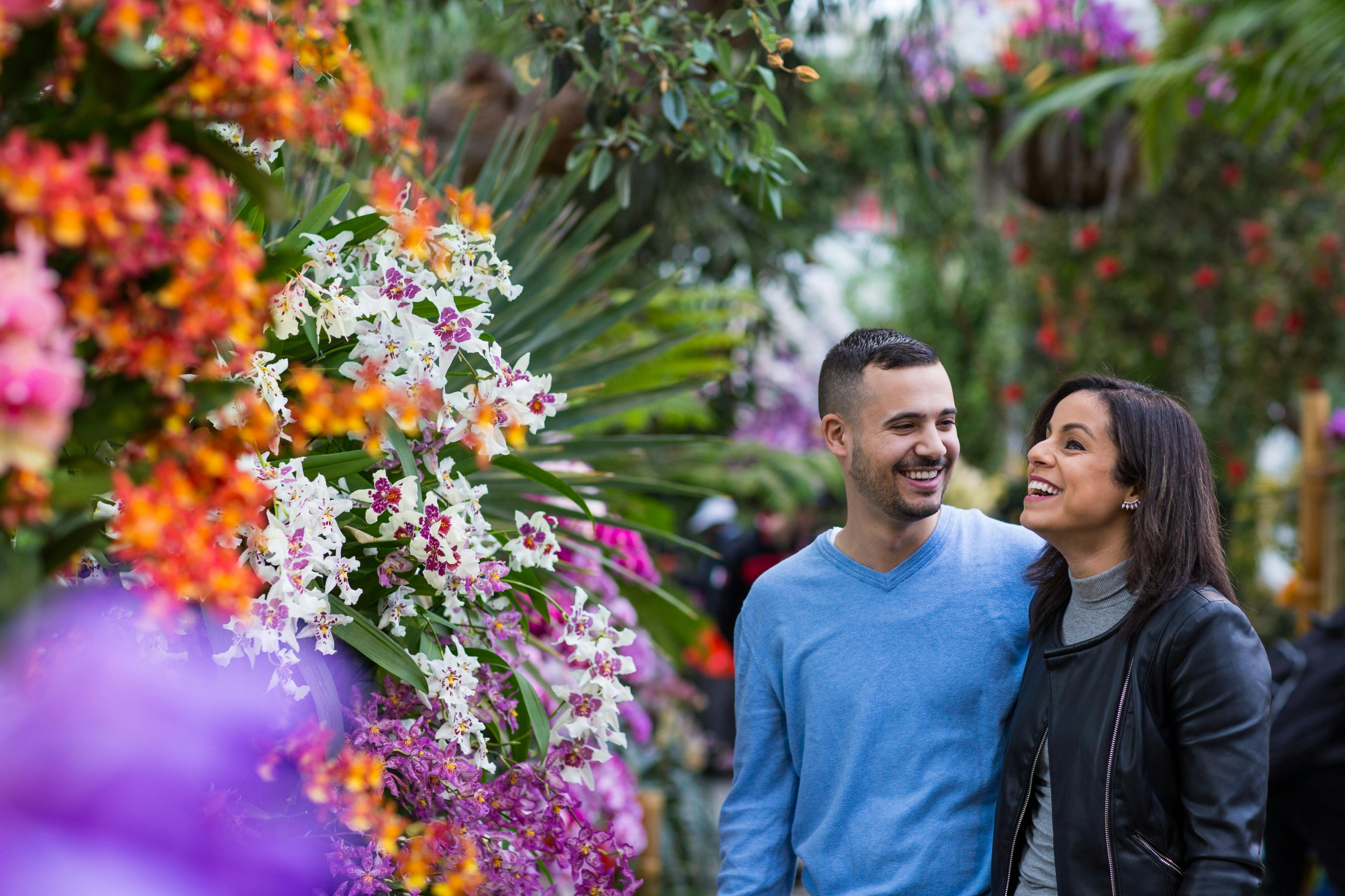 New York Botanical Garden Special Exhibitions