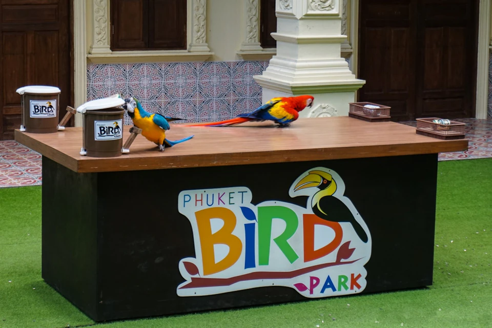 Phuket Bird Park: Admission Ticket