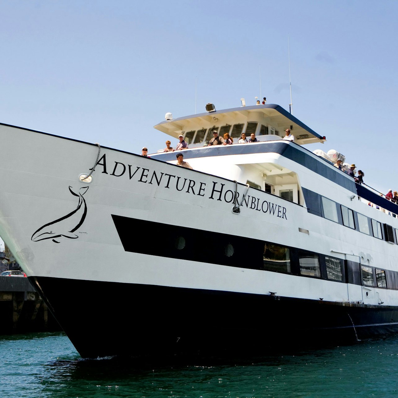 San Diego: 2-Hour Harbor Cruise & Sea Lion Adventure - Accommodations in San Diego
