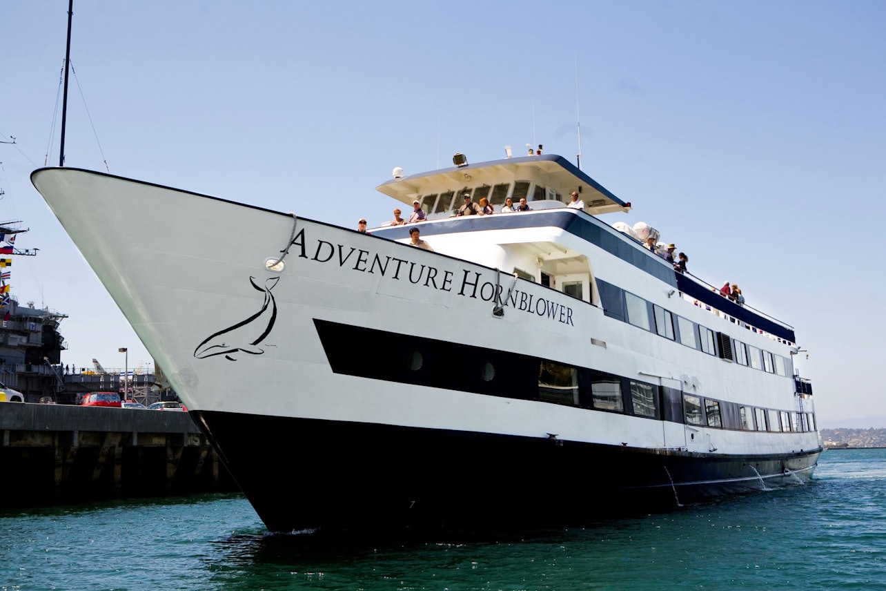 San Diego: Crucero de 2 horas por el puerto y aventura con leones marinos - Alojamientos en San Diego