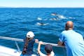 Delfini e catamarano