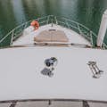 Il prendisole dello yacht per una vista migliore