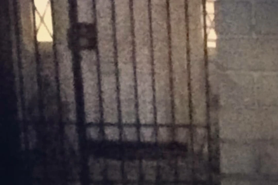 Ghost of little girl at the LaLaurie Mansion! Photo provided by guest.