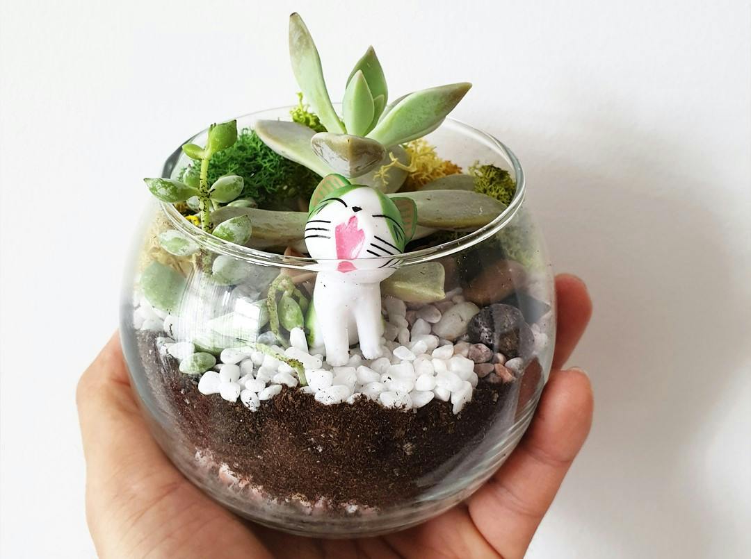 A hand holding a small glass terrarium with succulents, white pebbles, soil layers, and a figurine of a cat.