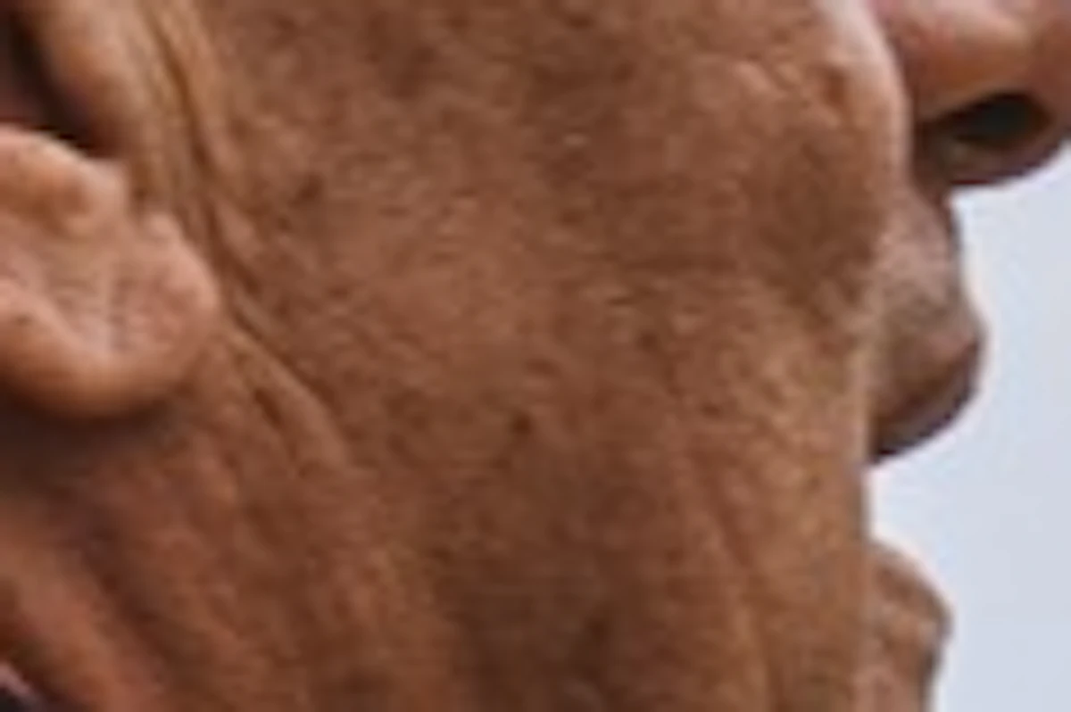 Seine River: Cruise for Kids - La Seine and Its Secrets Quiz — 1