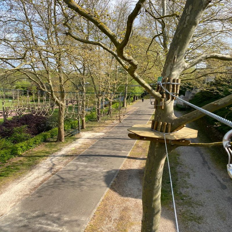 Vista desde una plataforma de árboles que muestra elementos del recorrido de cuerda, un camino por debajo y árboles con escaso follaje en un entorno similar a un parque.