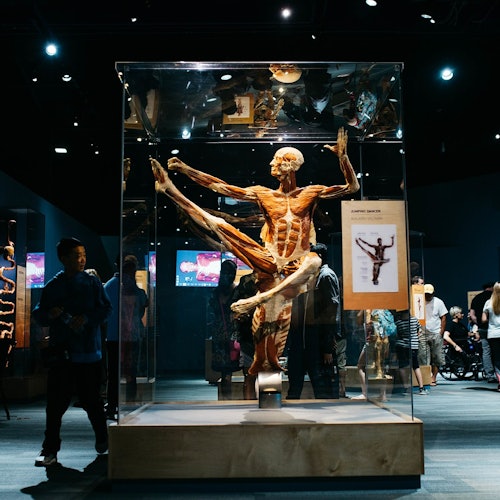 Body Worlds Milán