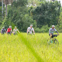 Step away from the usual tourist routes in Siem Reap and discover the local lifestyle by biking from one village to another.