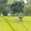 시엠리아프의 일반적인 관광 루트에서 벗어나 한 마을에서 다른 마을로 자전거를 타고 현지 라이프스타일을 발견해 보세요.