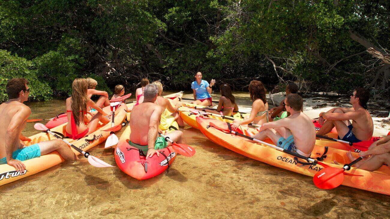 Excursion en kayak autour des mangroves