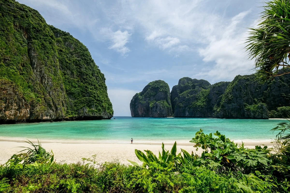 Maya Bay, Phi Phi & Bamboo Island: Day Tour from Phuket + Transfers + Lunch