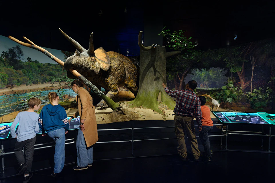 People observing a Triceratops display in a museum exhibit, with trees and informational screens nearby.