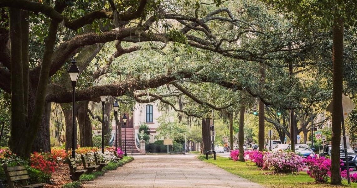 Passeggiata storica di Savannah — 2