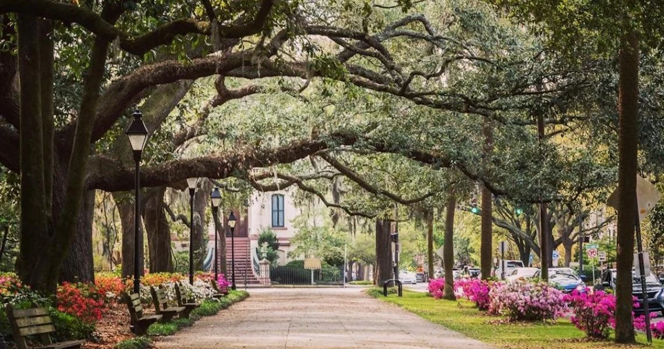 A park walkway lined with lampposts, benches, and vibrant flowers, shaded by large, sprawling trees.
