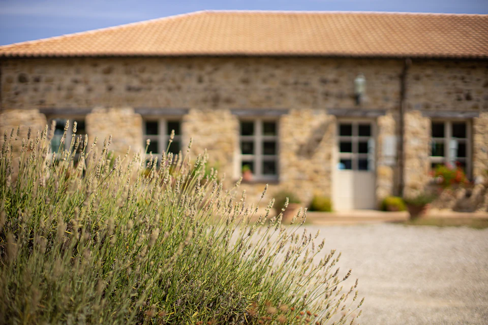 Tasting room