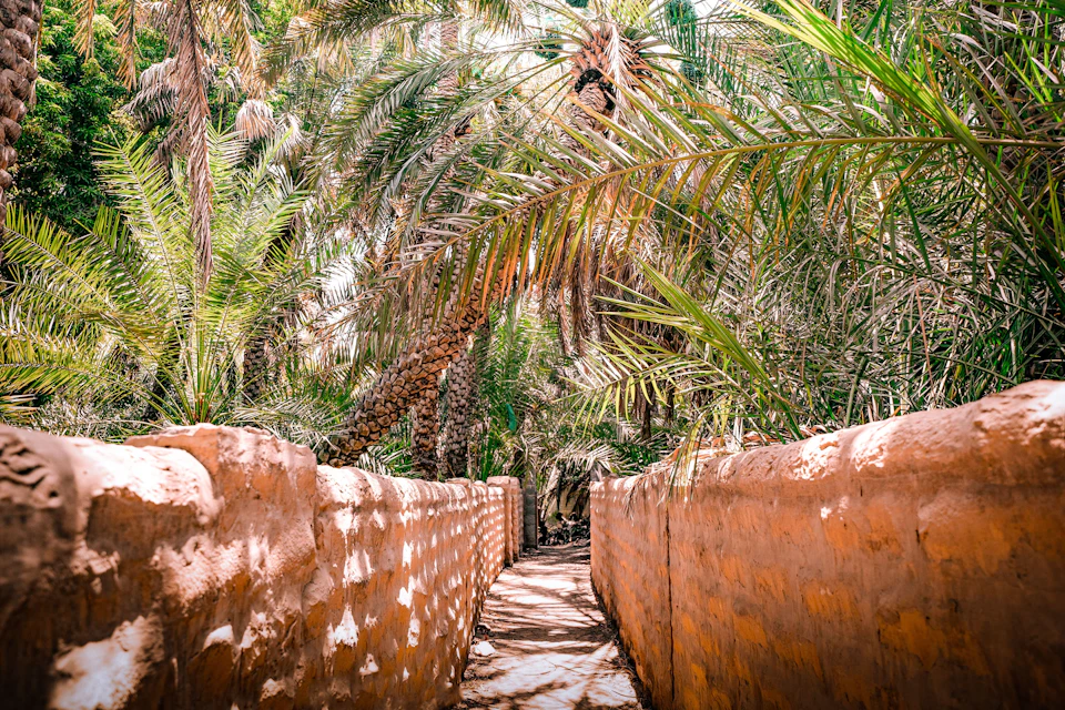 Al Ain