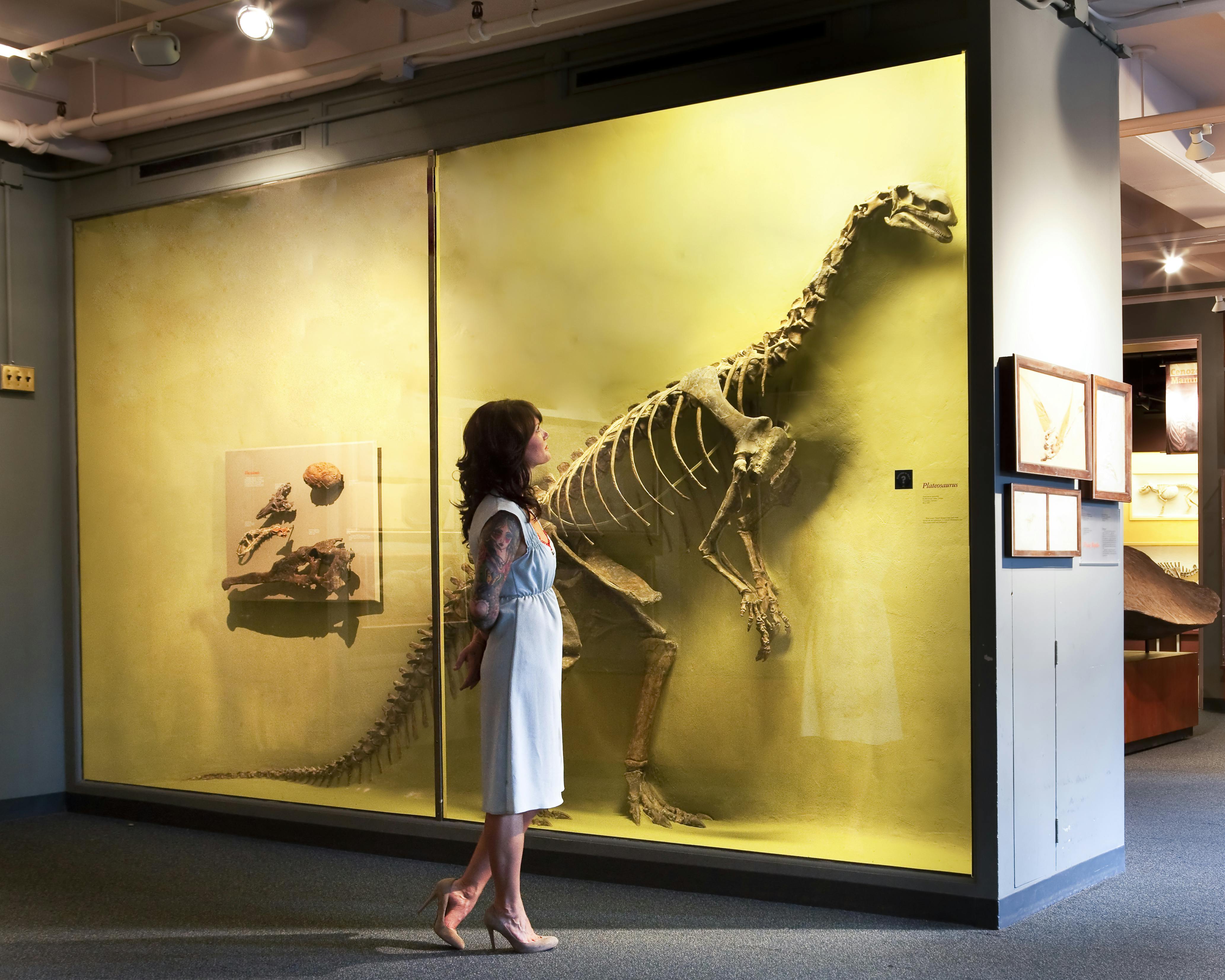 흰색 드레스를 입은 여성이 노란색 조명이 있는 박물관 전시물에 전시된 공룡 해골을 관찰하고 있습니다.