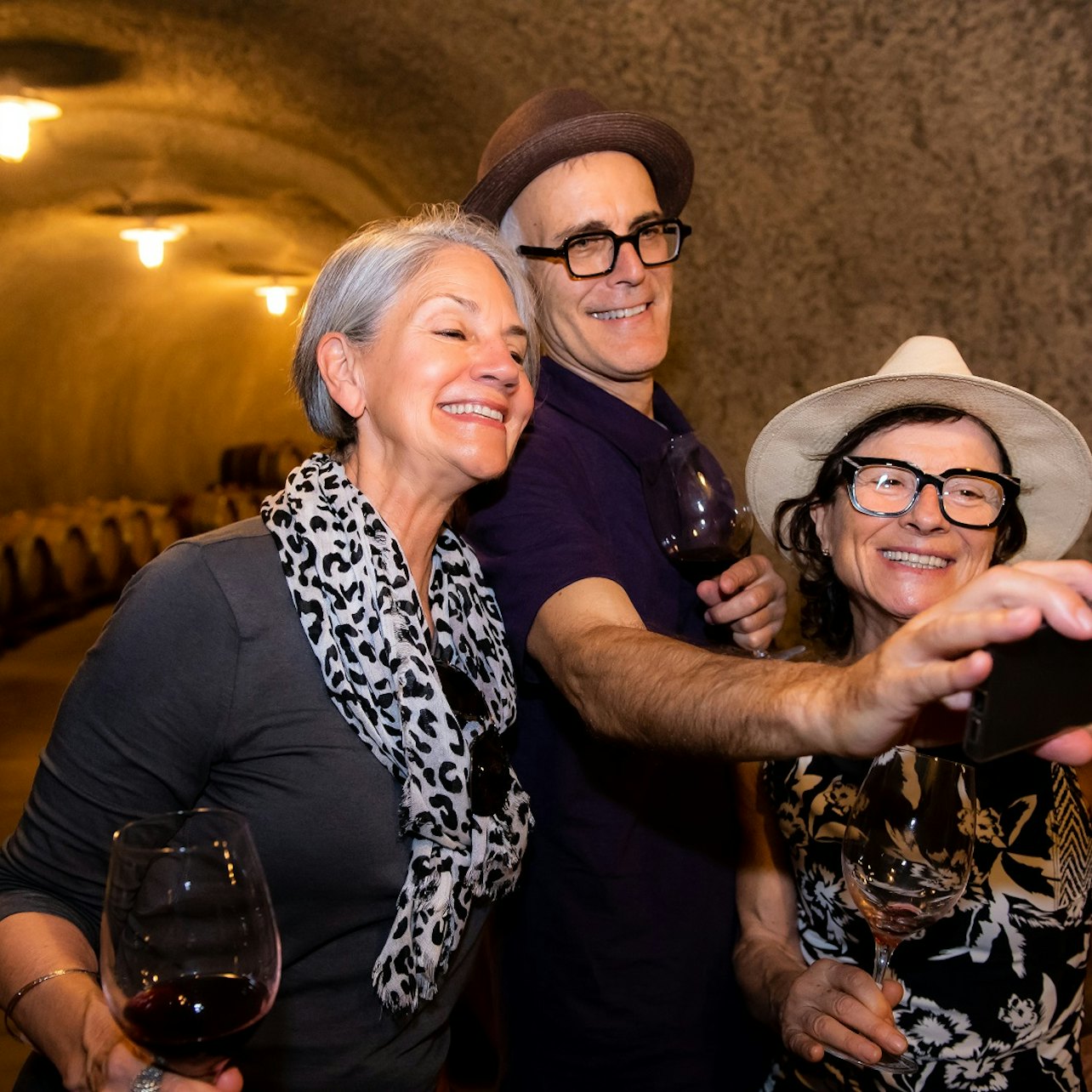Secuoyas y región vinícola: Excursión de un día desde San Francisco - Alojamientos en San Francisco
