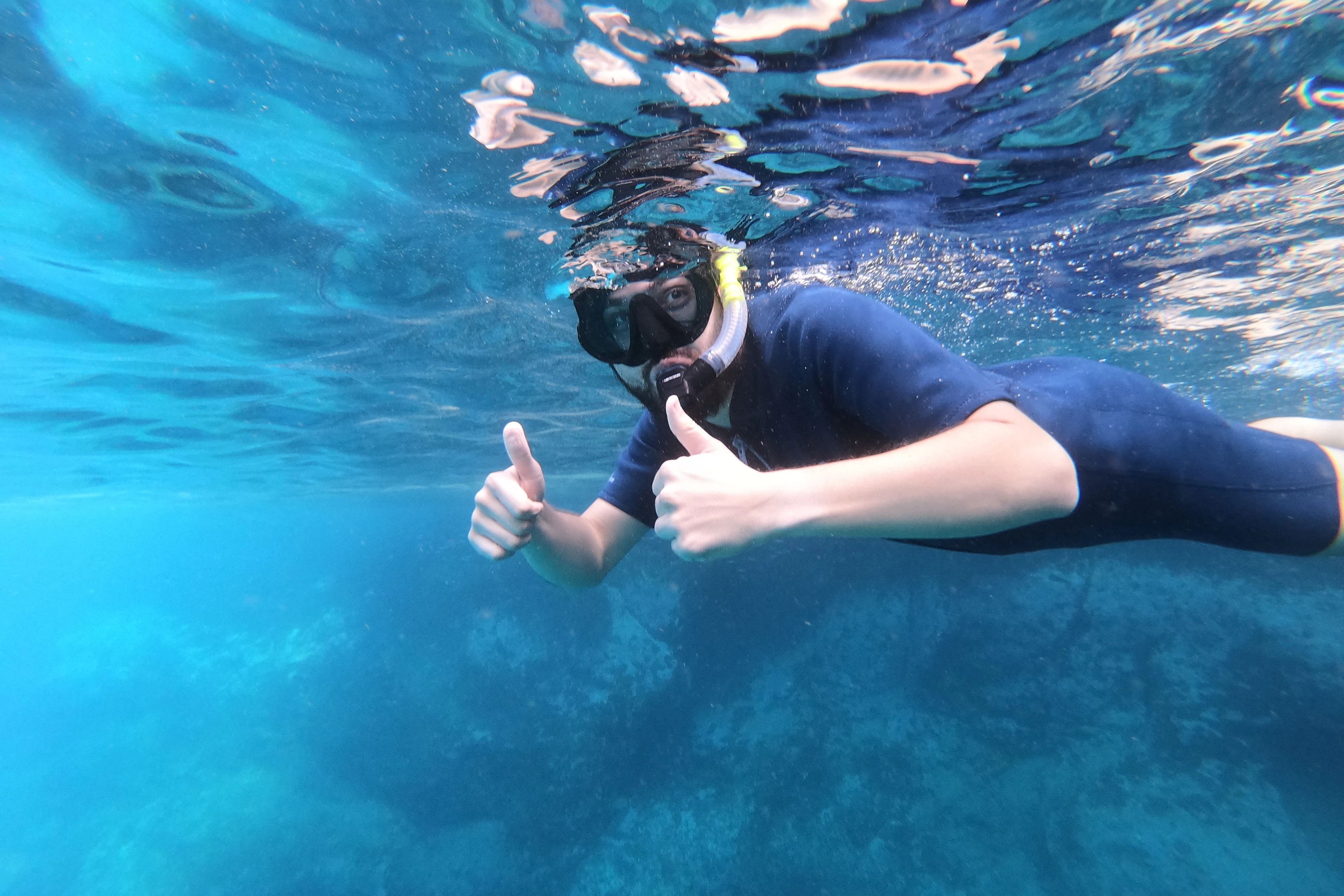 Los Cristianos: Snorkeling on a Lava Reef