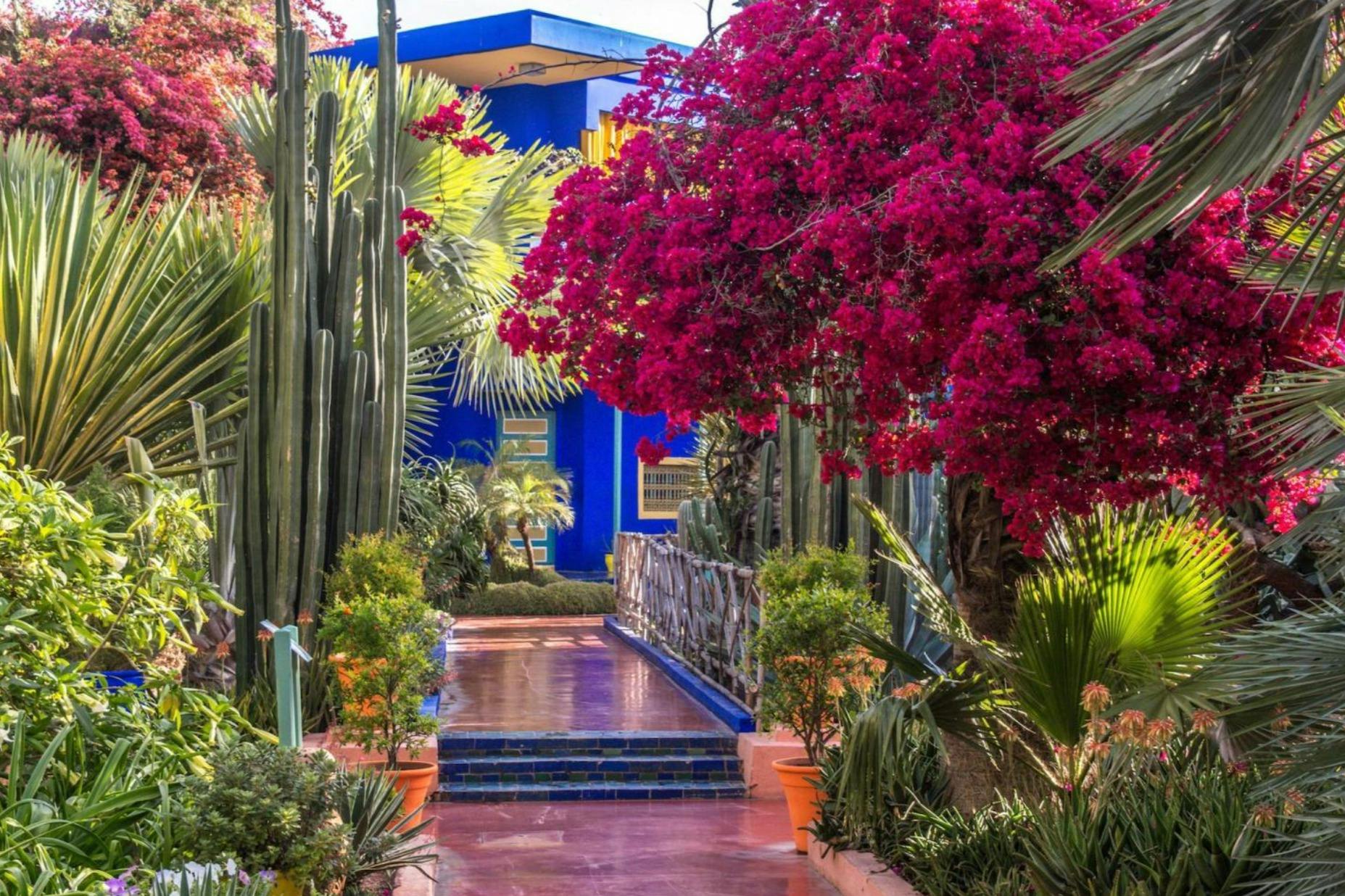 Marrakesh: Tour guidato dei Jardin Majorelle + Trasferimenti — 2