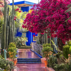 Marrakesh: Jardin Majorelle Guided Tour + Transfers 2