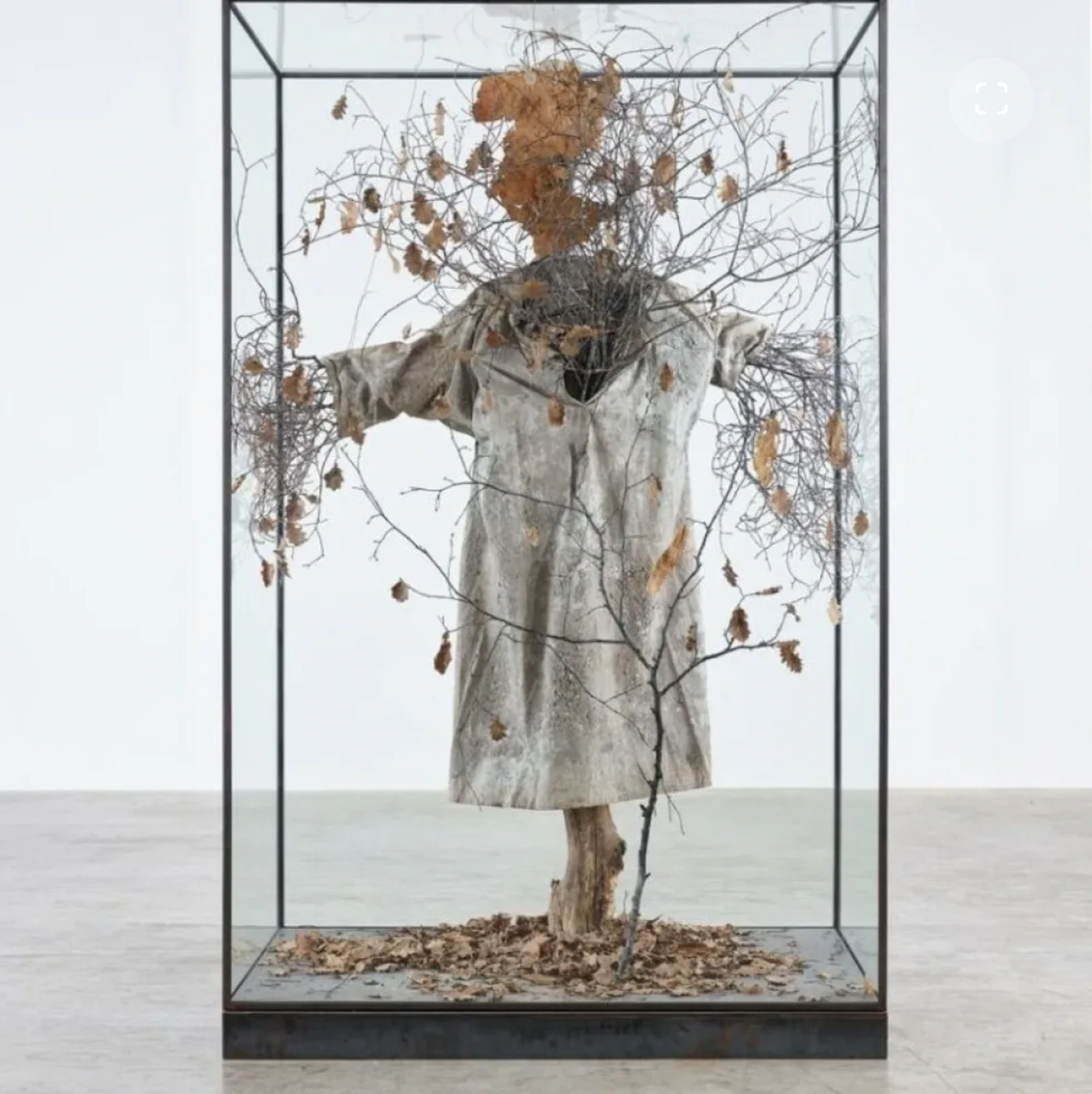 A sculpture in a glass display case featuring a tree branch structure wearing a coat, with dry leaves and a wooden base.