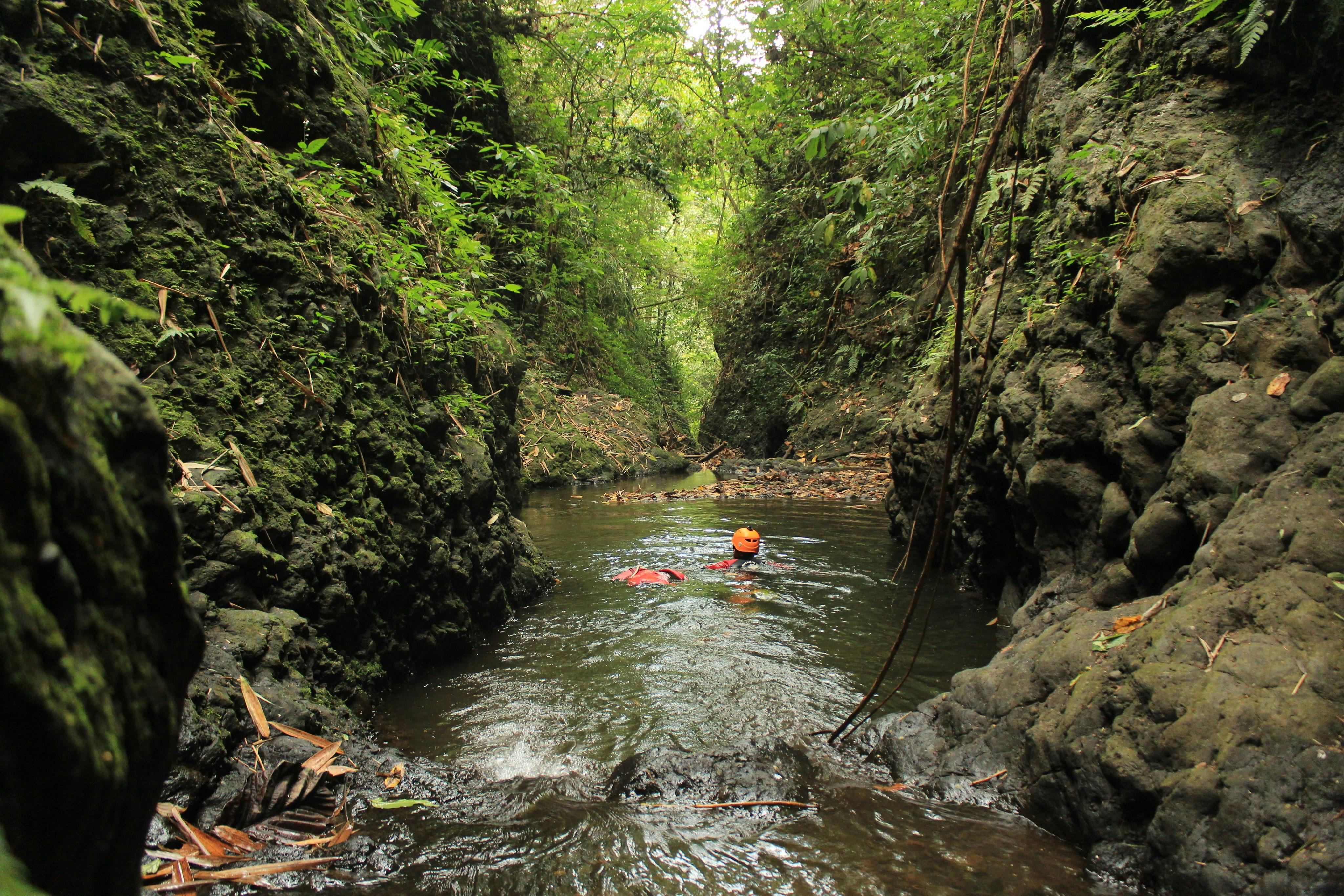 在清泉峡谷游泳。