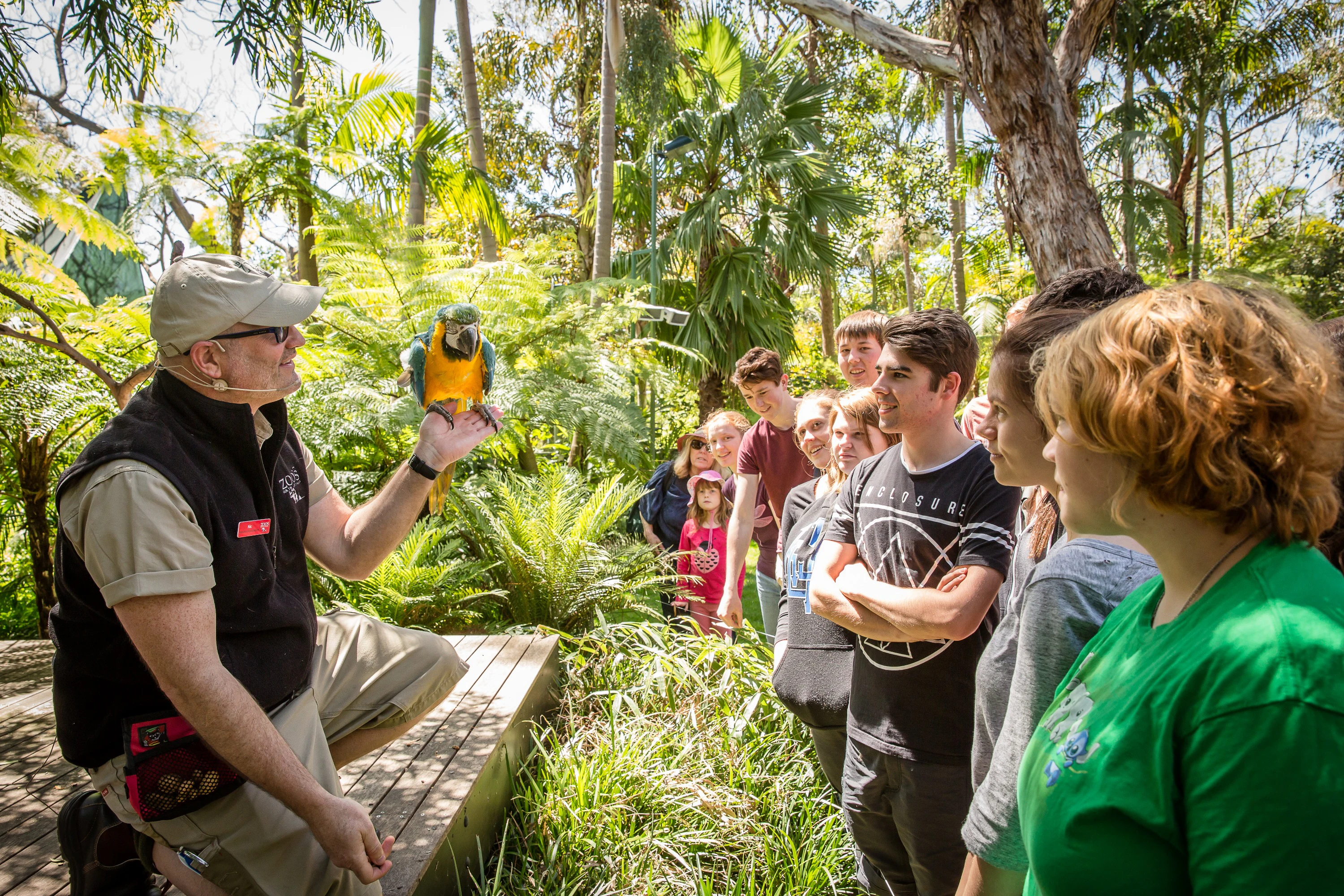 Adelaide Zoo: Entry Ticket + Panda & Friends Encounter